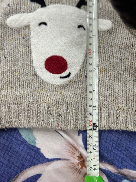 Branded Sweater (Zara & Next) in deal