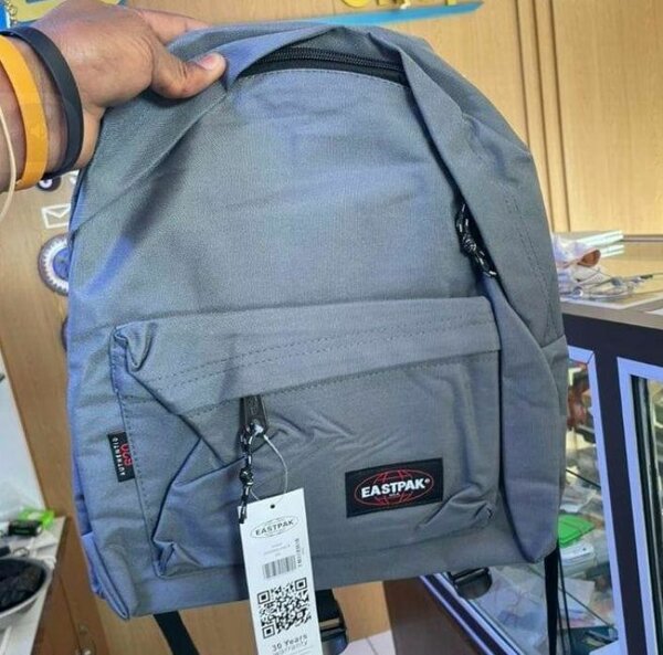Sac à dos gris Eastpak robuste