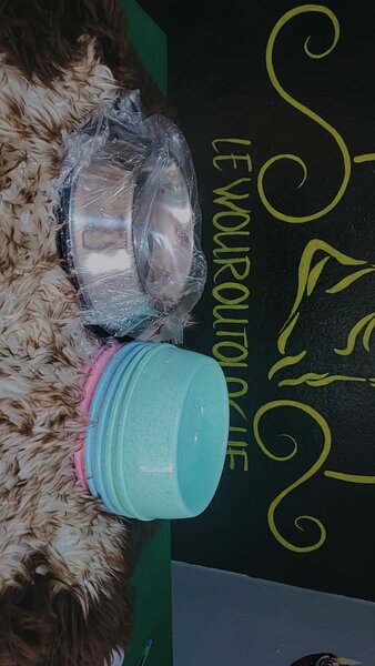 Gamelles pour chiens