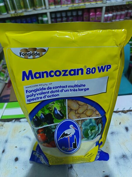 Mancozan 80 WP Fongicide Polyvalent
