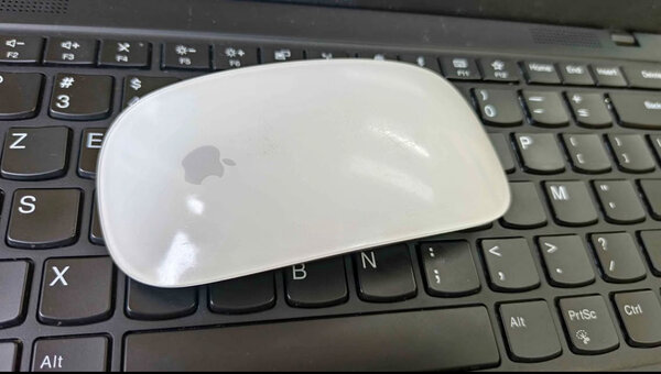 Souris Apple Magic Mouse - Blanche