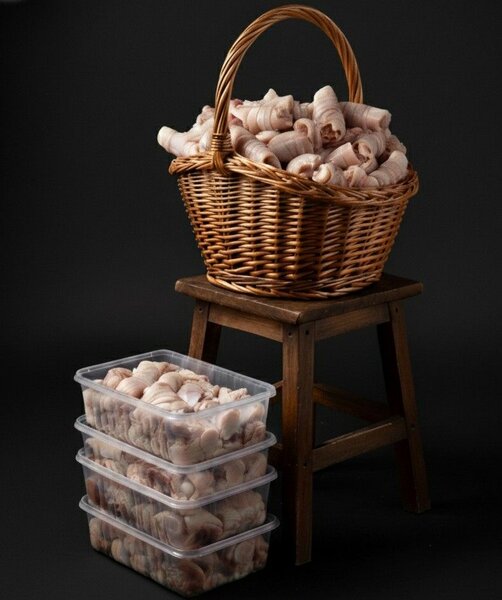 Tripes de mouton 100% bio