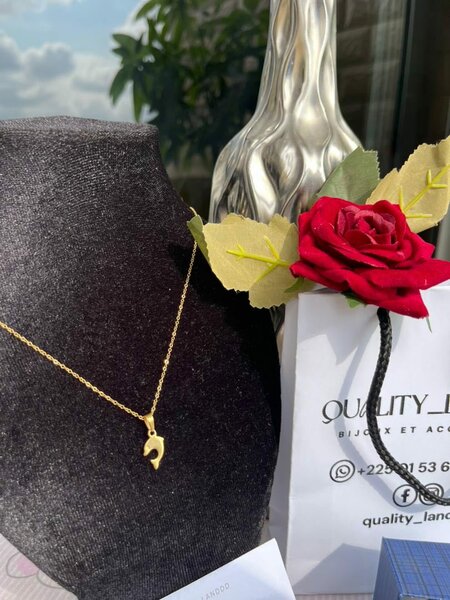 Collier Pendentif Élégant