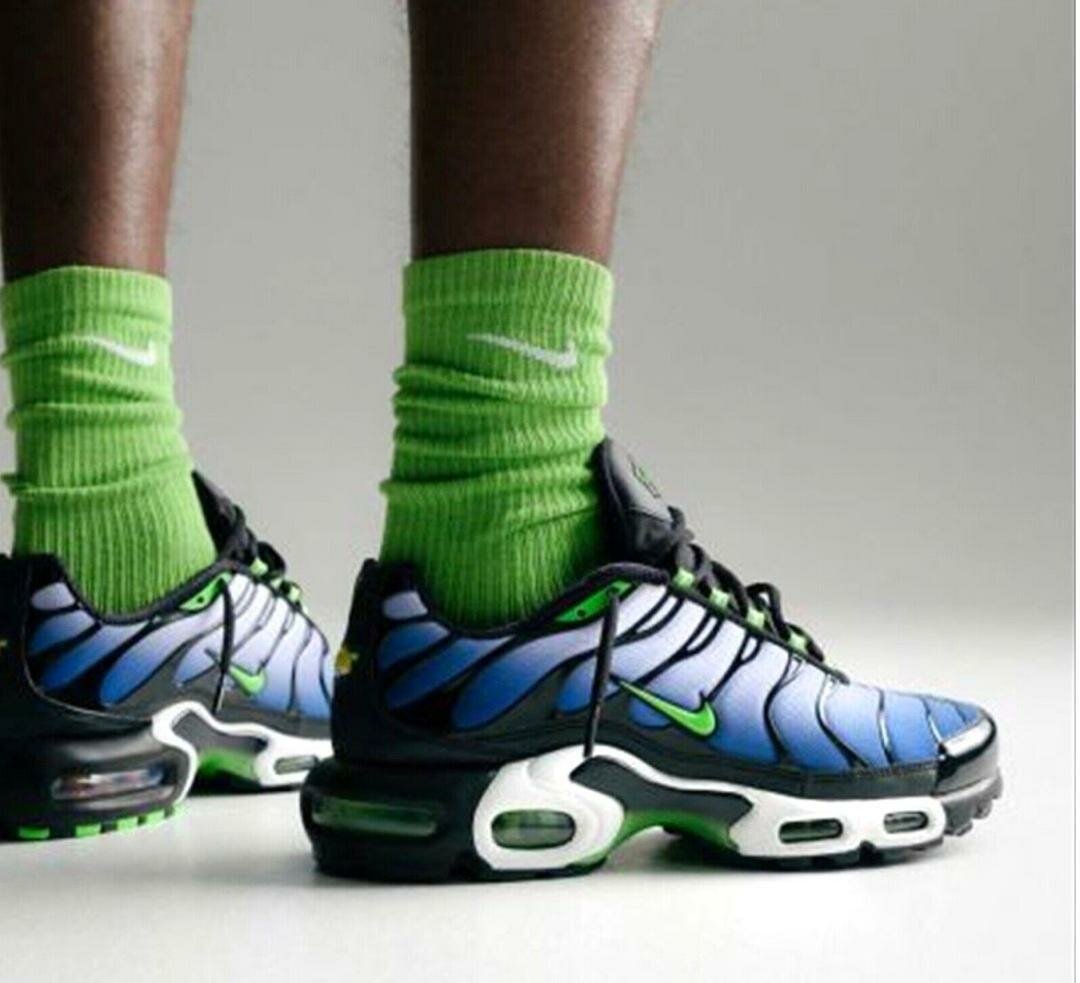 Chaussures Nike TN Air Max Plus - bleu vert