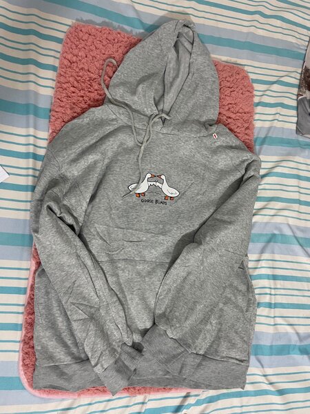 Pull-over gris avec capuche