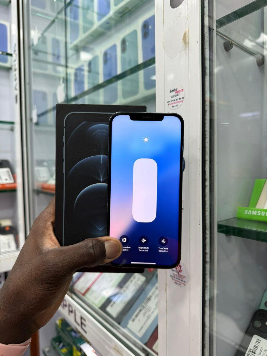 12 pro max 128 Go bleue avec s