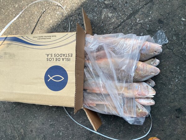 Sosso américain 20kg