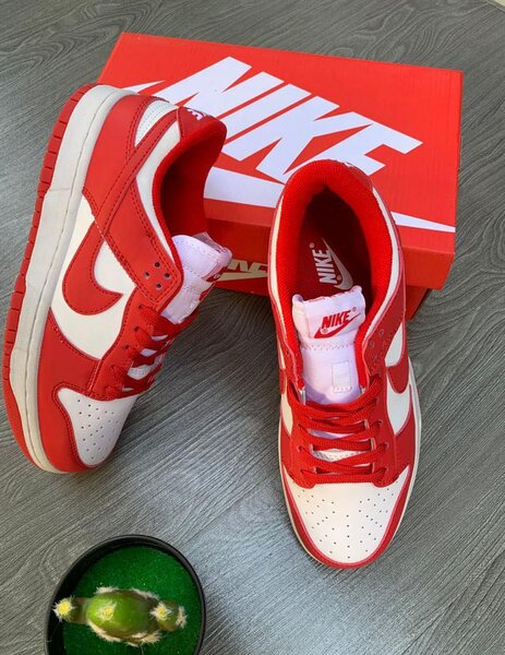Nike SB