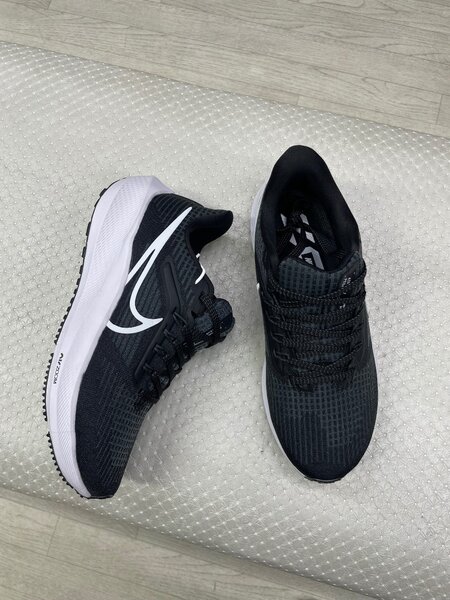 Nike pegasus39