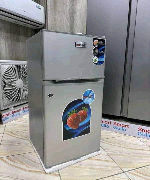 Réfrigérateur Compact Double Porte