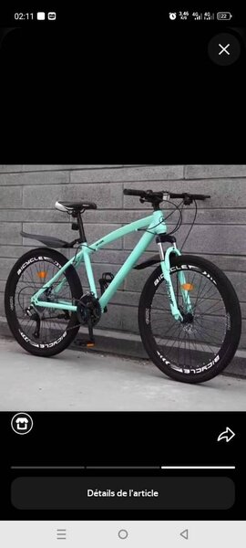 Vélo Tout-Terrain Léger