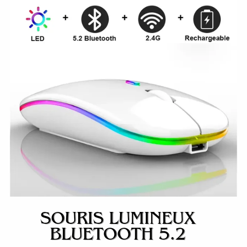 Souris rechargeable bluetooth