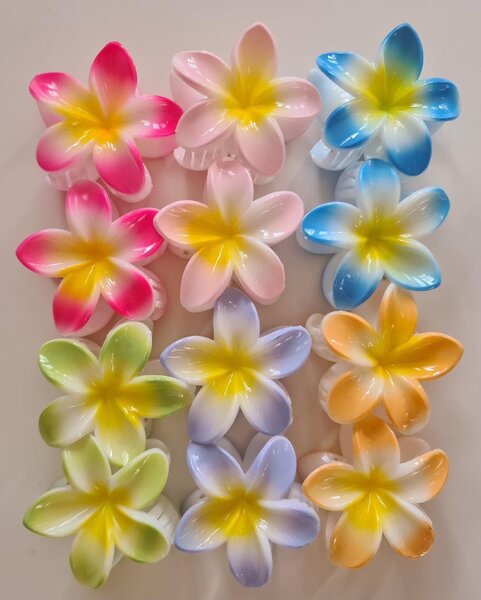 Pinces à cheveux fleurs colorées