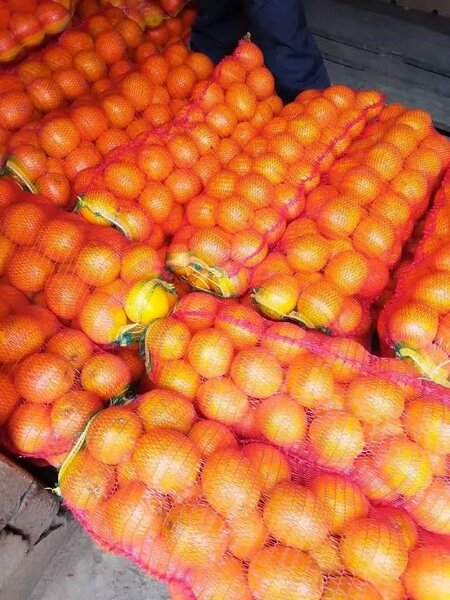 Fruits and Vegitables wholesale free delivery