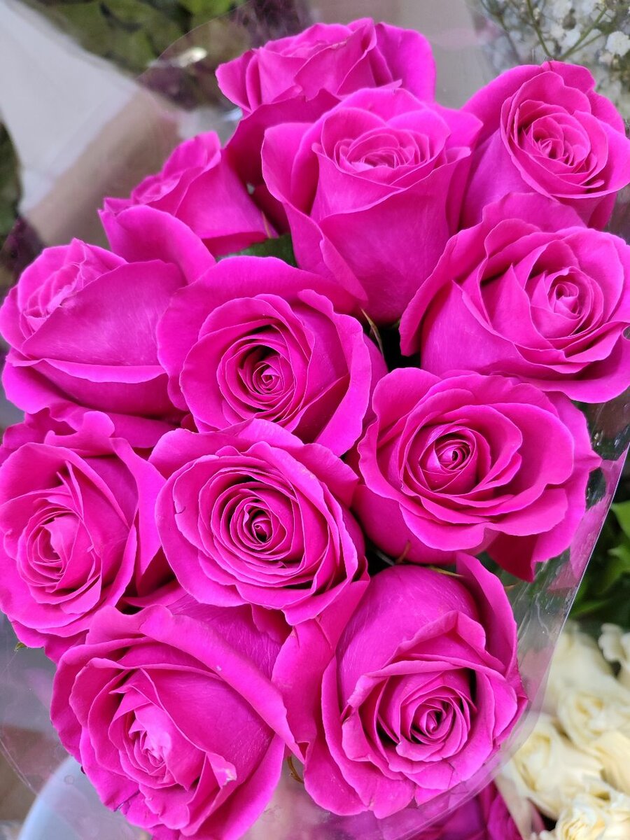 Розы пионовидные( ароматные)