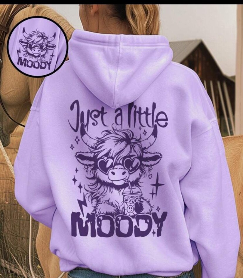 Sweat à capuche "Just a Little Moody"