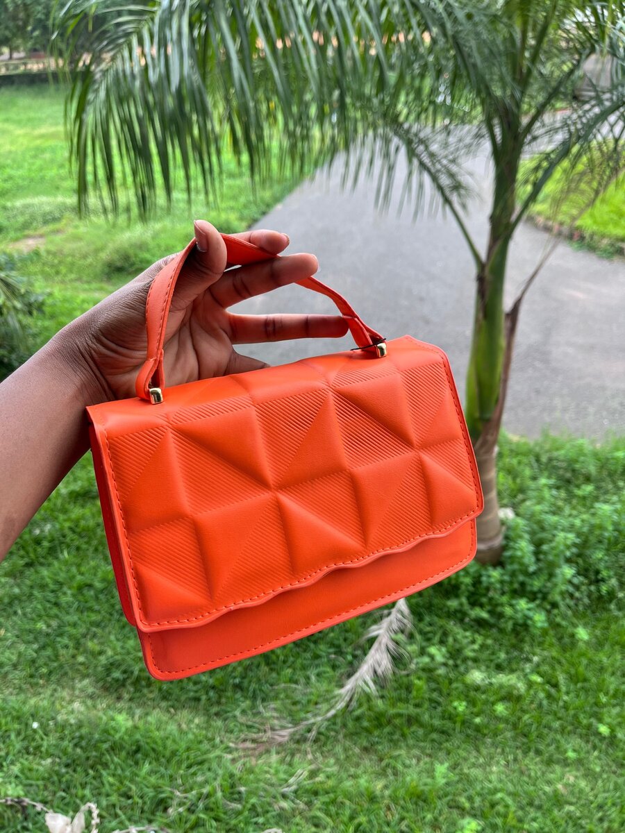 Ladies bag