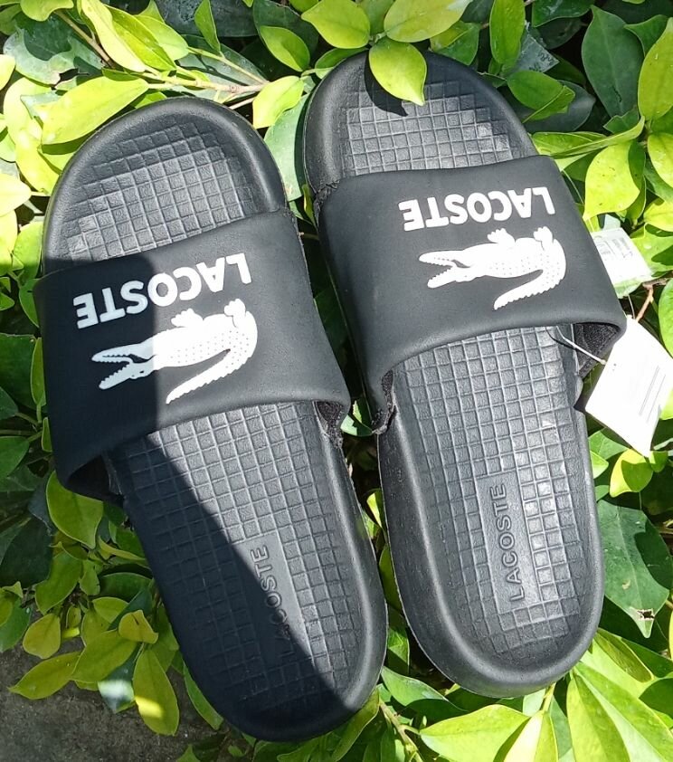 Claquettes Lacoste Homme