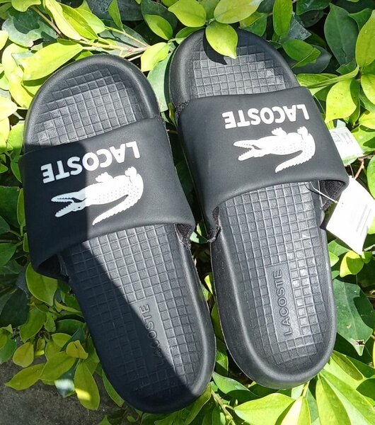 Claquettes Lacoste Homme