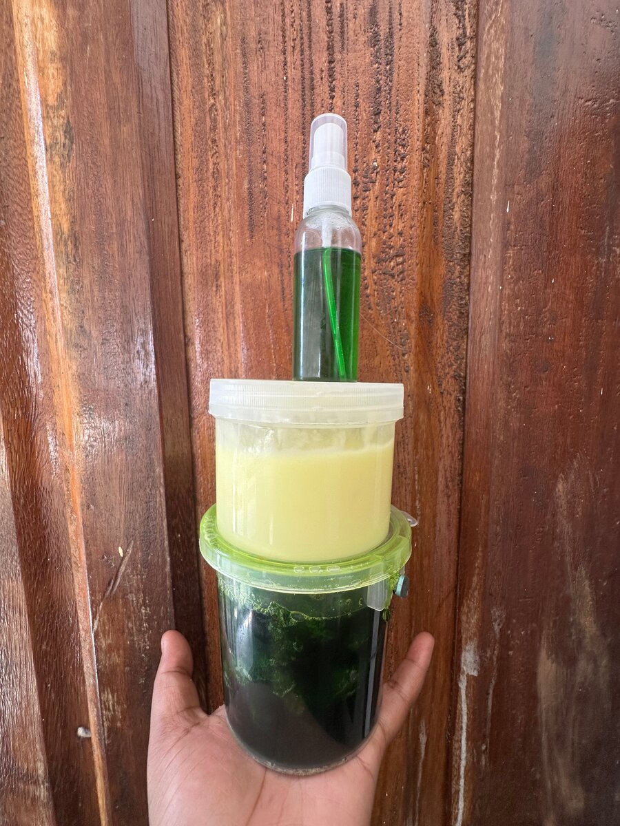 Ensemble de soins pour la peau