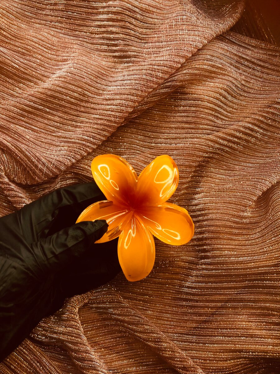 Barrettes + ÉLASTIQUES OFFERT