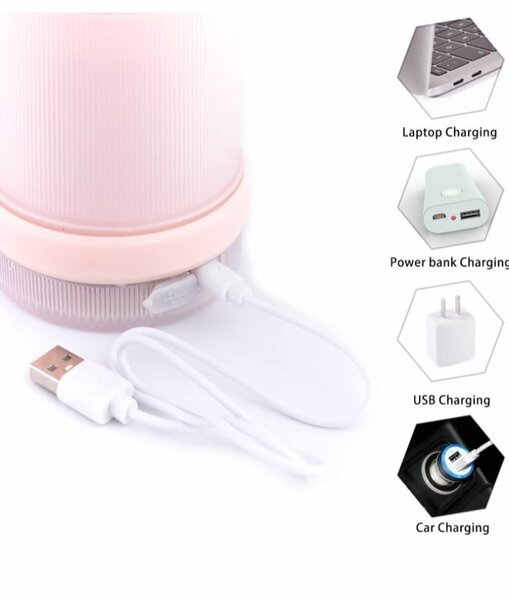 Mixeur Portable USB Rechargeable