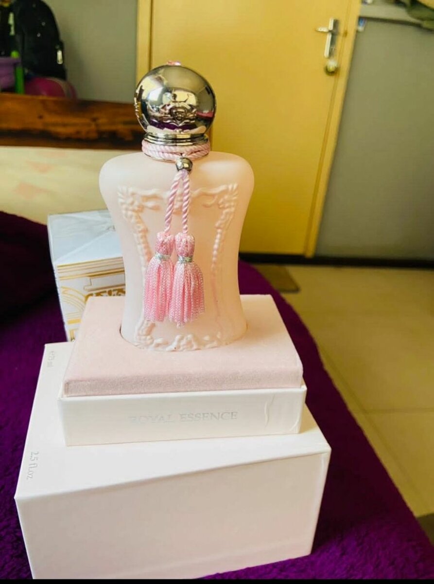 Delina exclusif K1300