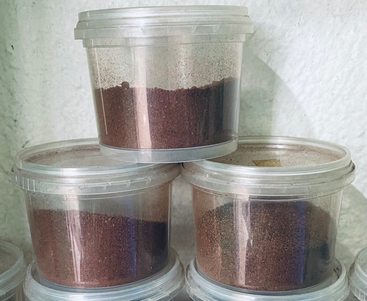 Poudre de clou de girofle