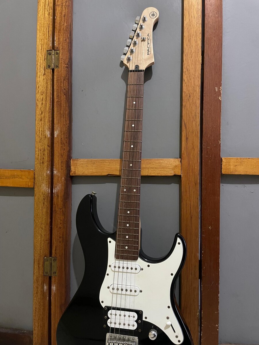 Electric Guitar with Rosewood Fretboard