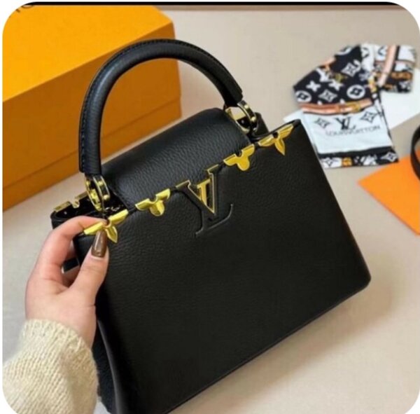 LV ladies bag