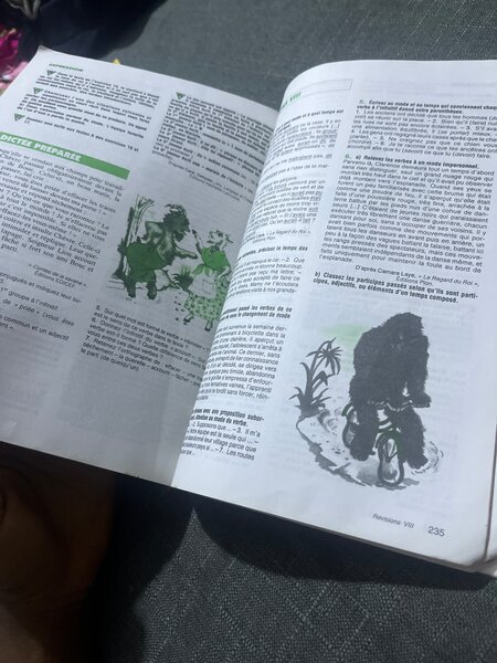 Grammaire du Français 6e/5e