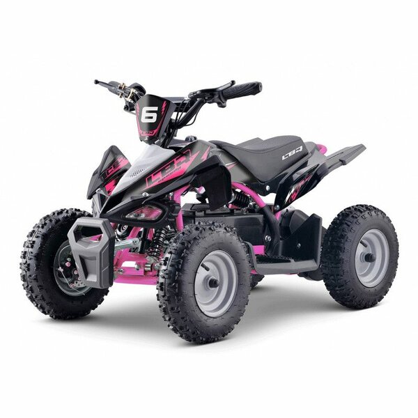 Quad Électrique Enfant 500W