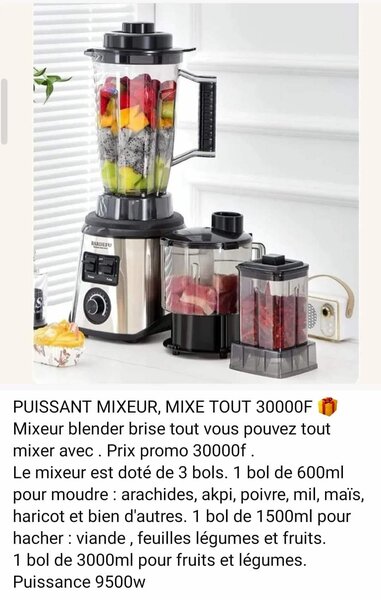 PUISSANT MIXEUR 