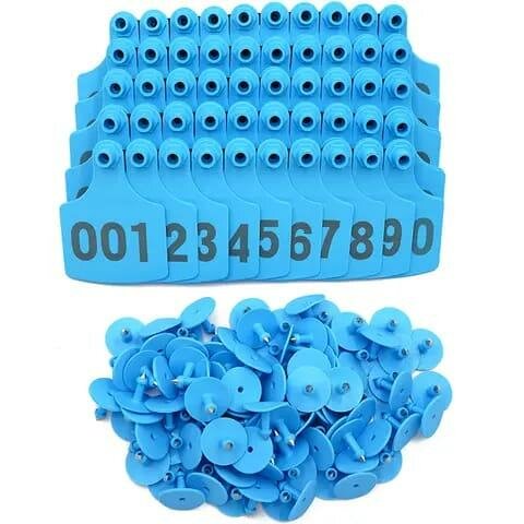 Boucle d'identification bleus