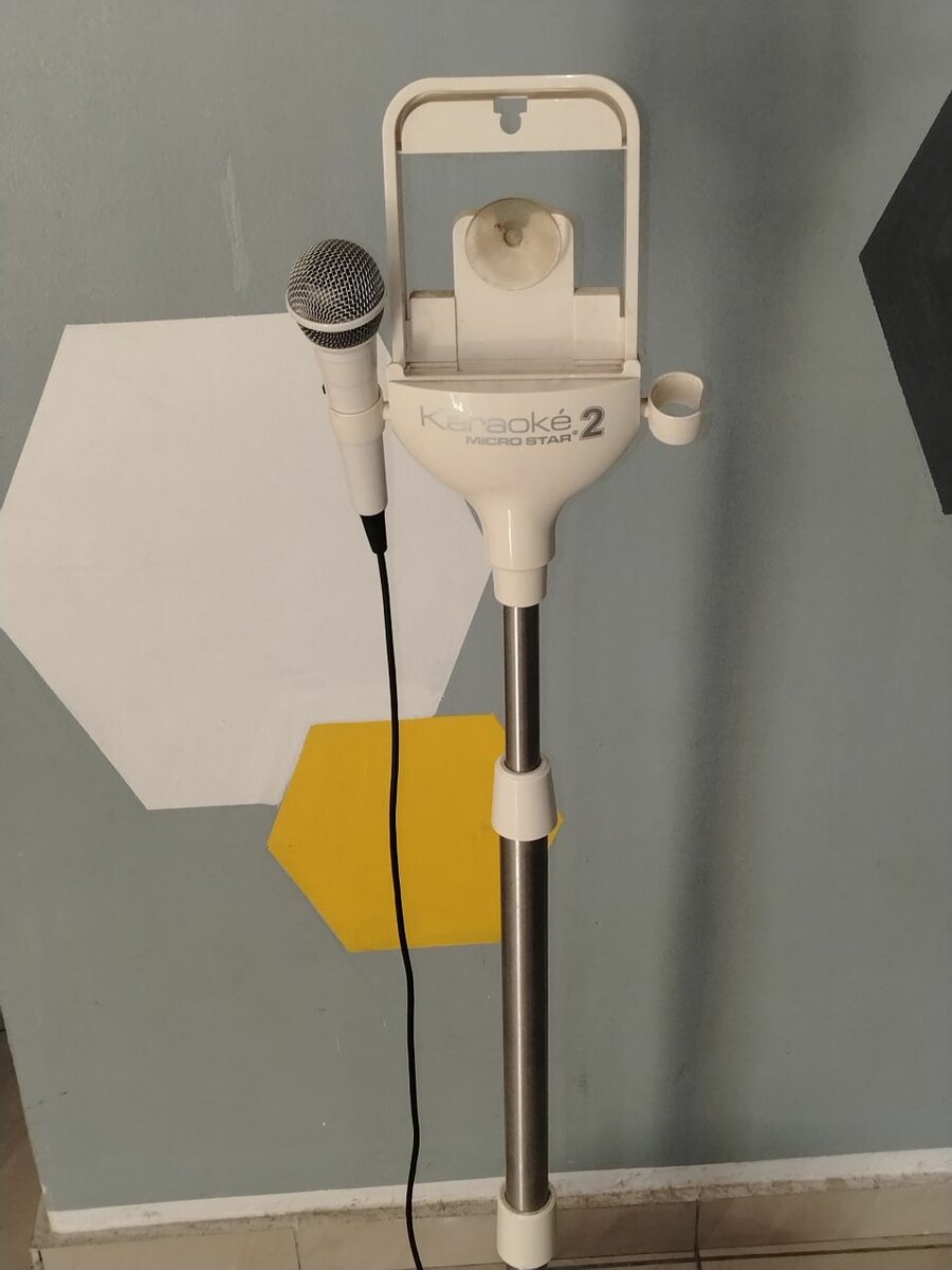 Système de Karaoké Micro et Support