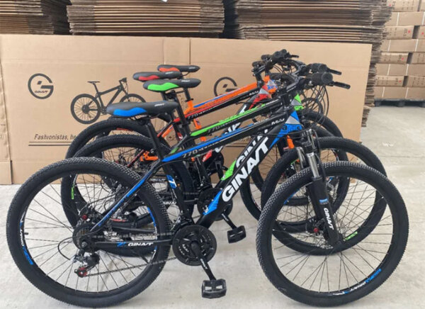 VTT électriques haute performance
