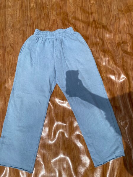 Light blue jogger