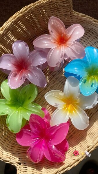 Pince à cheveux fleurs colorées