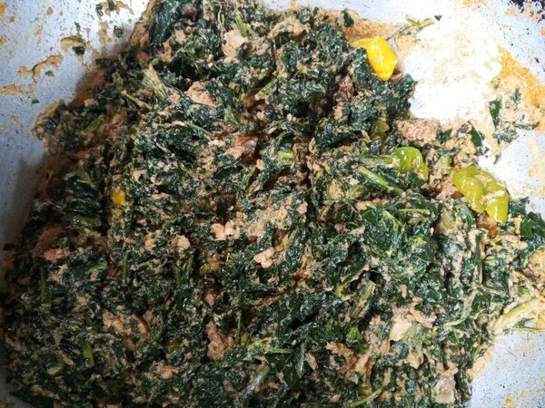 Riz  sauces tomates sauce feil