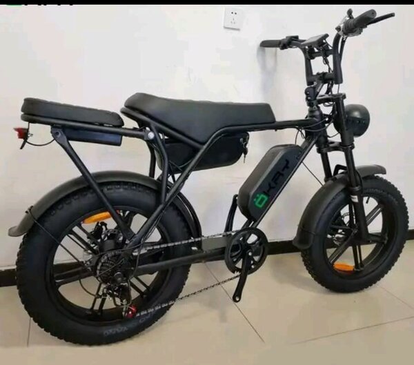 Vélo électrique tout-terrain