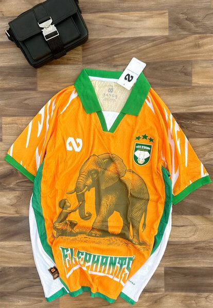 Maillot Éléphants Afrique