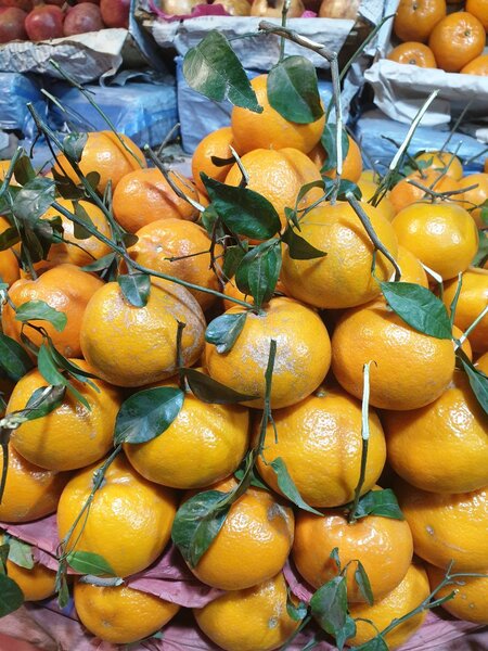 Orange 12 pcs