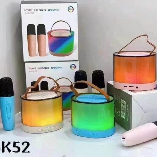 Ensemble Haut-parleur Portable et Microphones