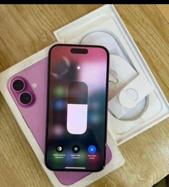 iPhone 16 Pro Max Violet