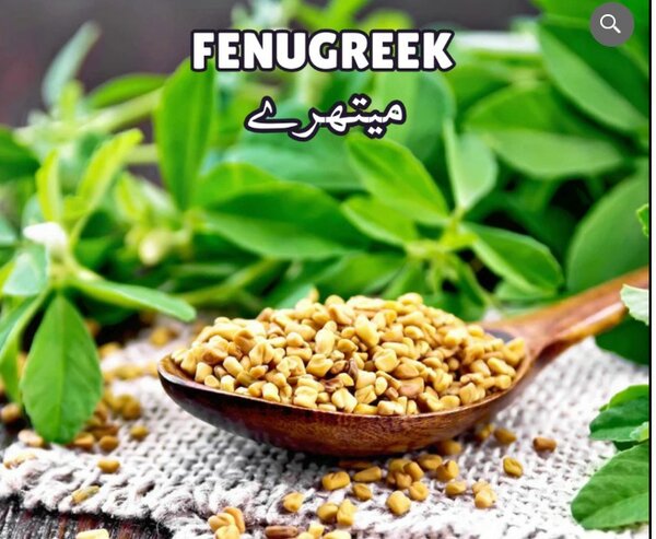 Fenugreek (Methry)
