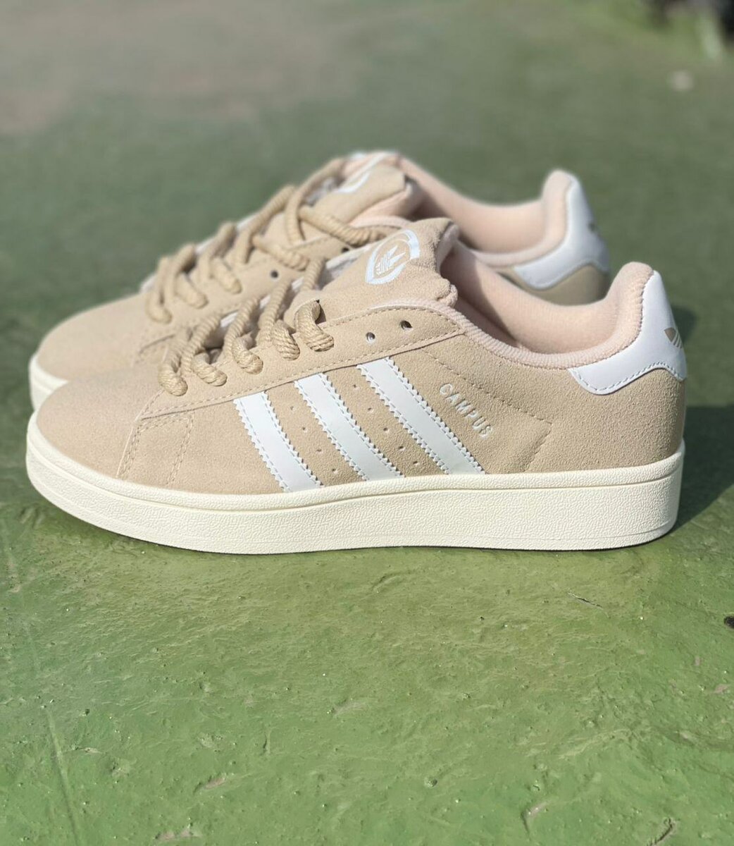 Adidas campus original
