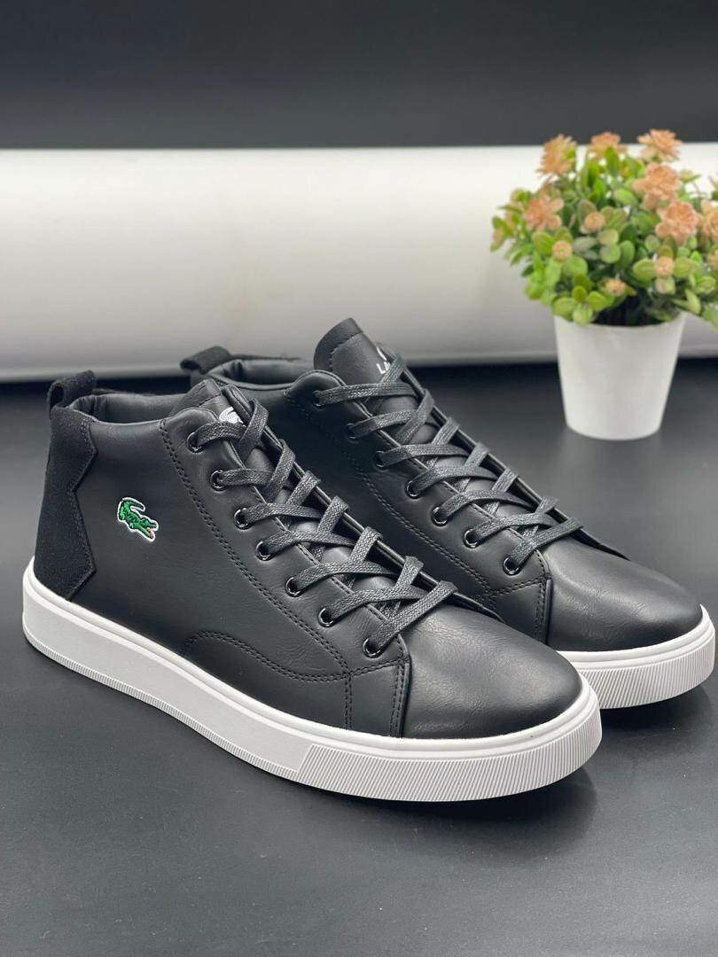 LACOSTE CLASSIC WEAR