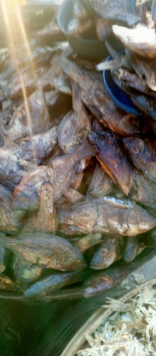 Dry fish