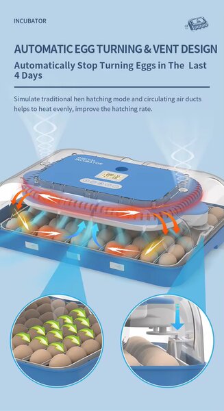 Couveuse automatique 70 œufs