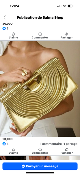 Sac à main élégant en cuir